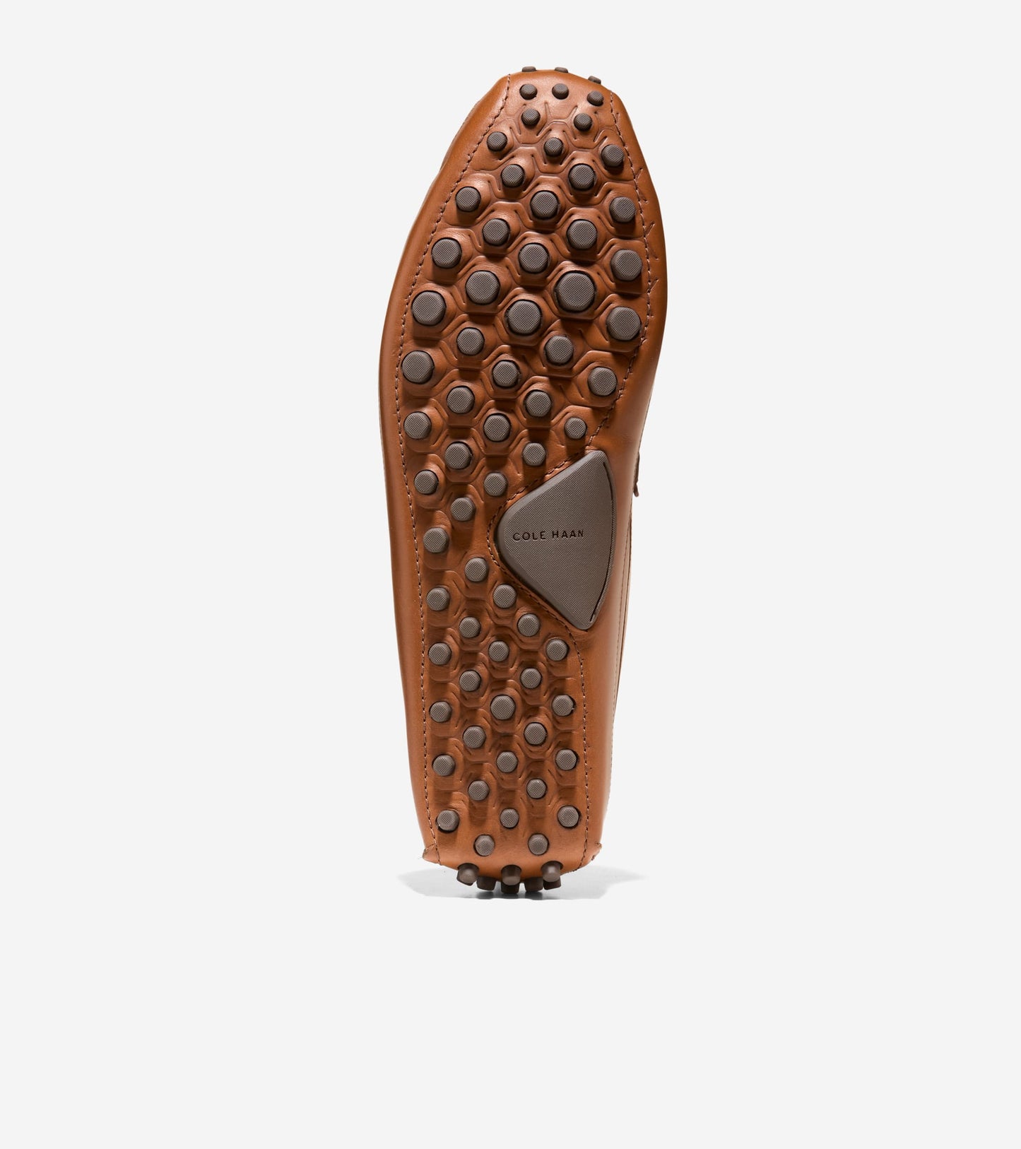 C41727:CH BRITISH TAN /CH JAVA