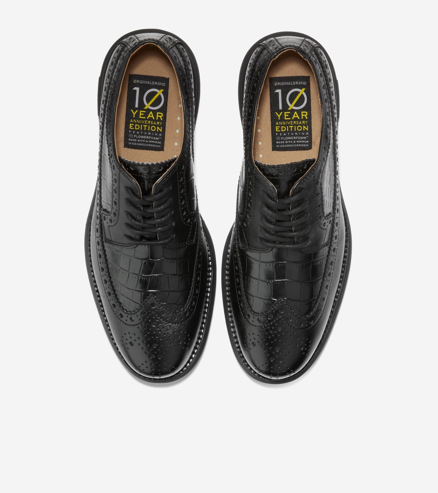C36513:BLACK CROC/BLACK