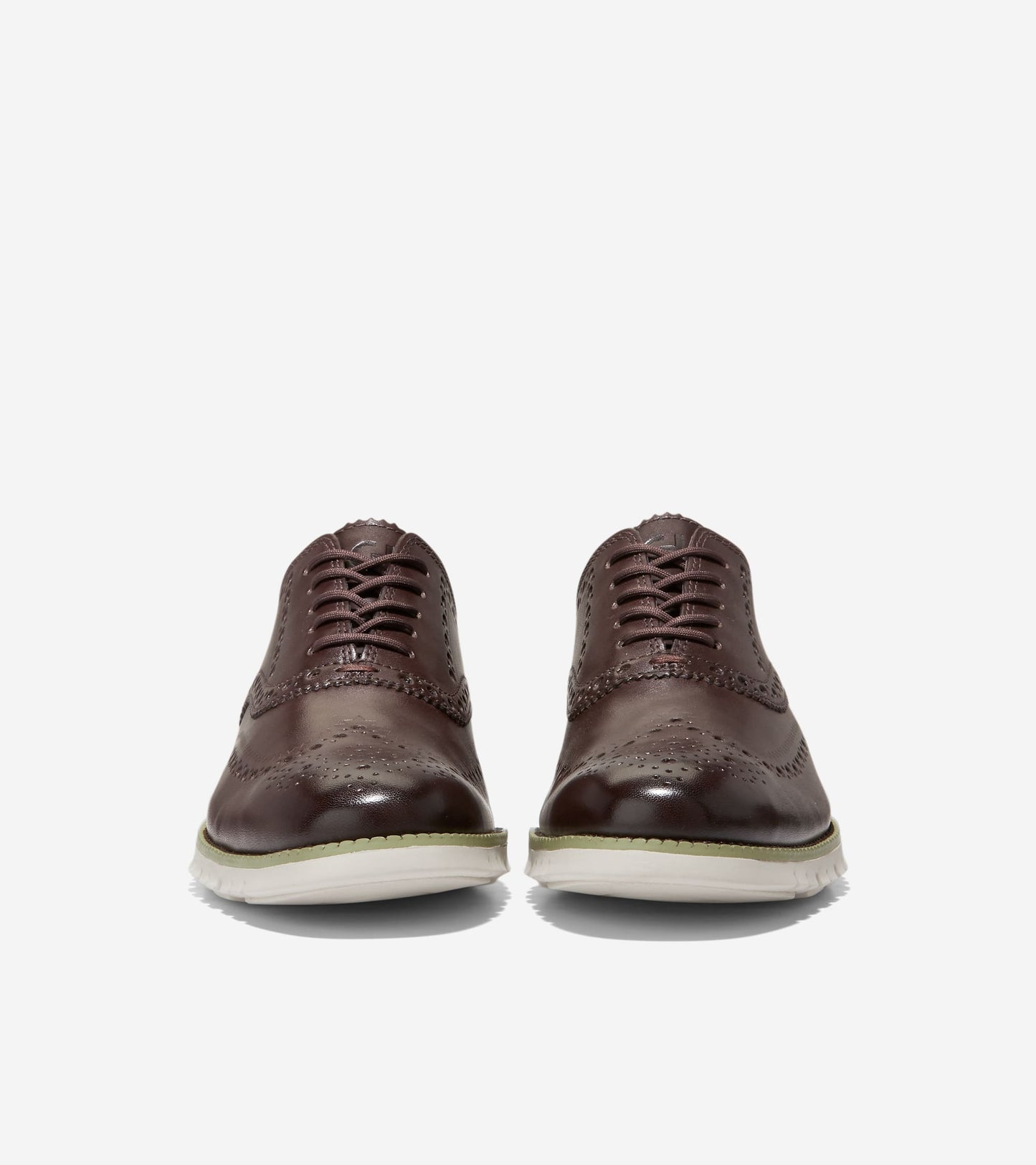 C37341:CH DARK CHOCOLATE/GOLD FUSION