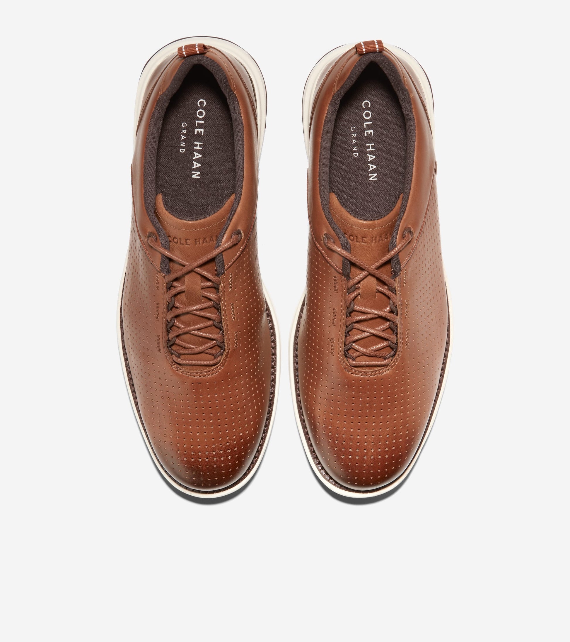C37746:BRITISH TAN/CH MADEIRA/SILVER BIRCH