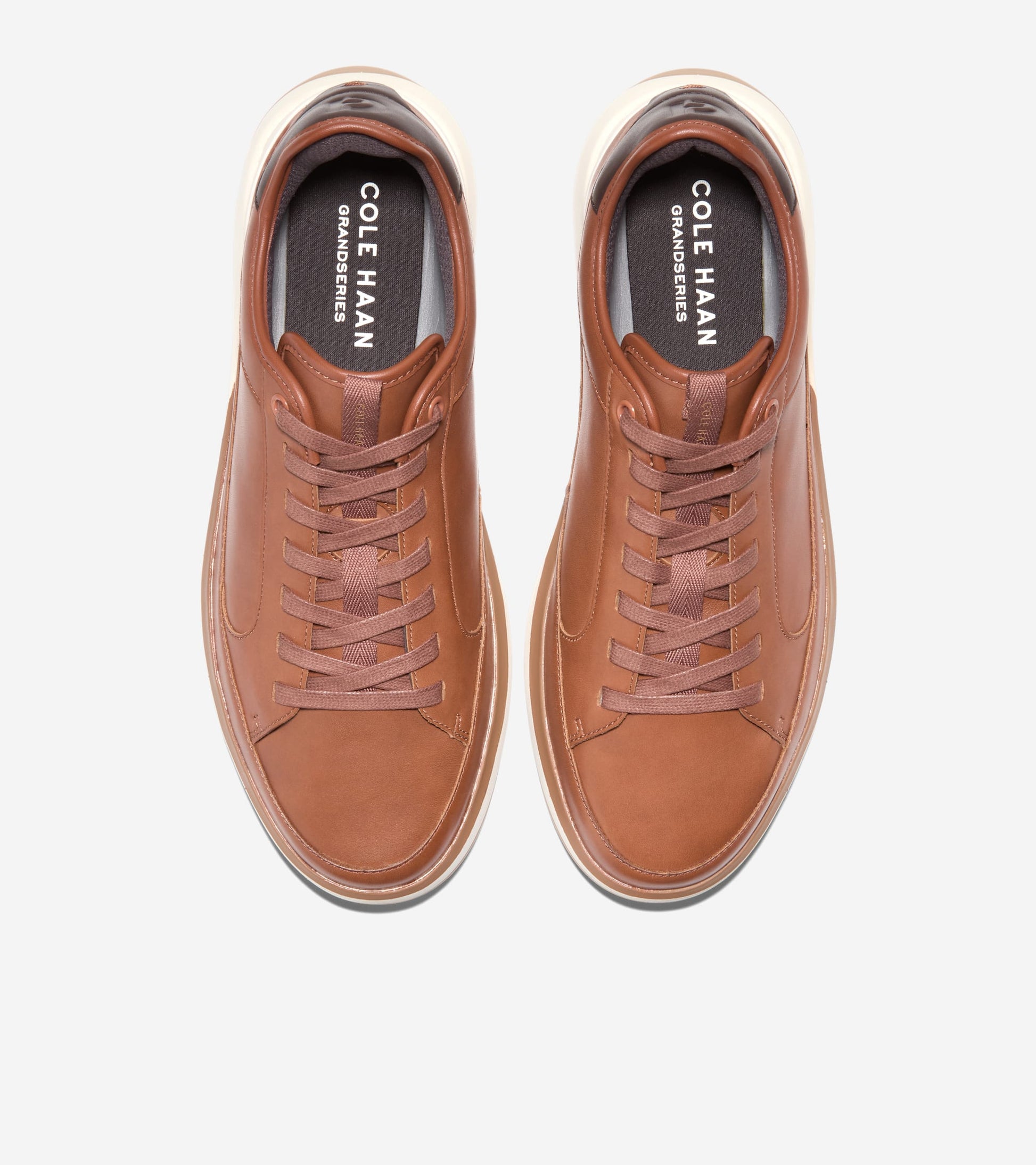 C42320:CH BRITISH TAN / CH DK CHOCOLATE / IVORY