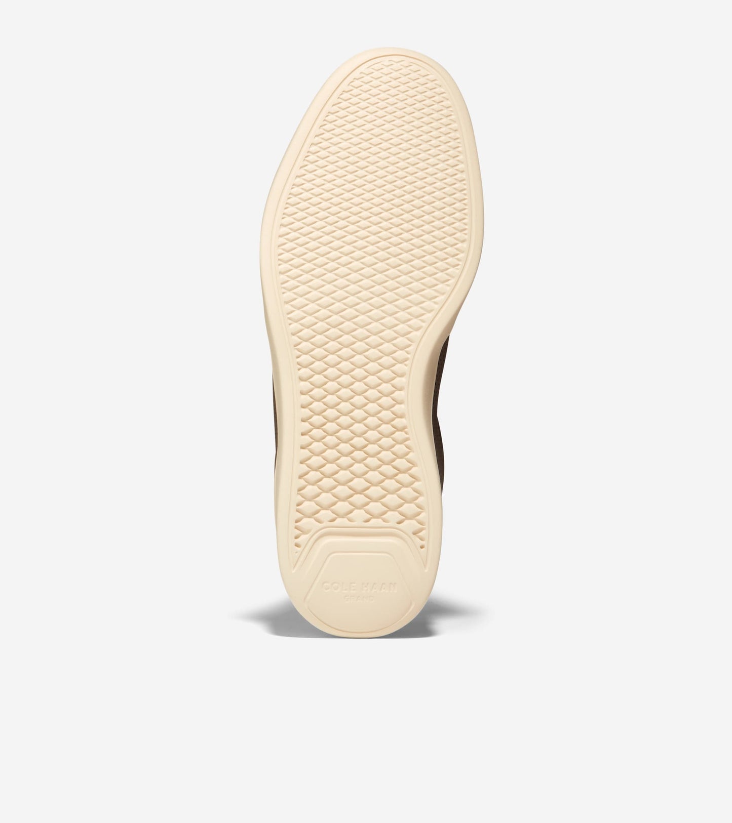 C37449:CH MOREL/CH OAT/SCARAB