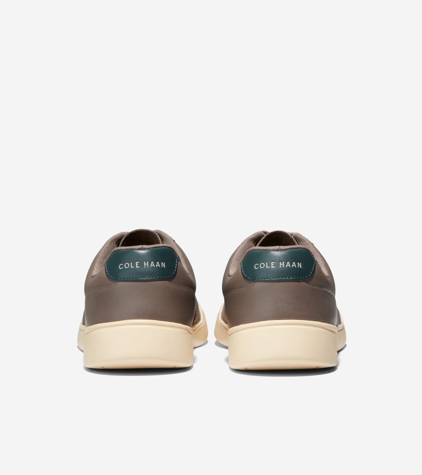 C37449:CH MOREL/CH OAT/SCARAB