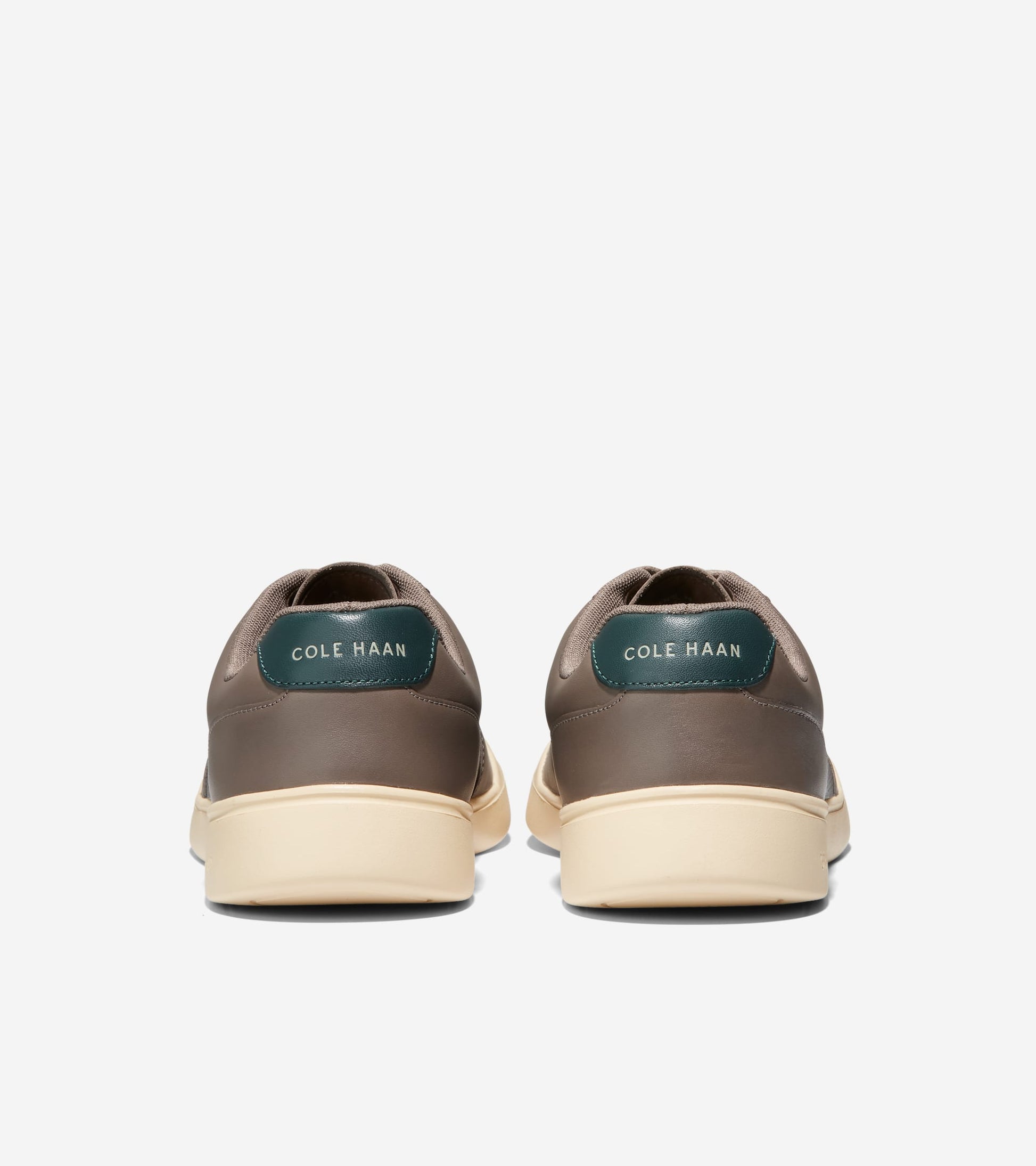 C37449:CH MOREL/CH OAT/SCARAB